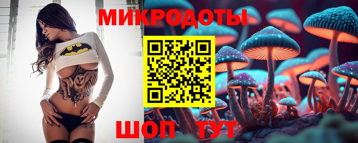 Псилоцибиновые грибы мицелий Муравленко